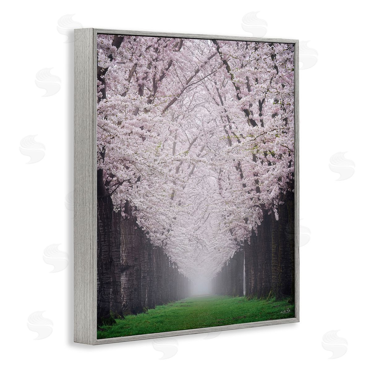 Martin Podt Cherry Blossom Grove Gray Framed Giclee Wall Art Print