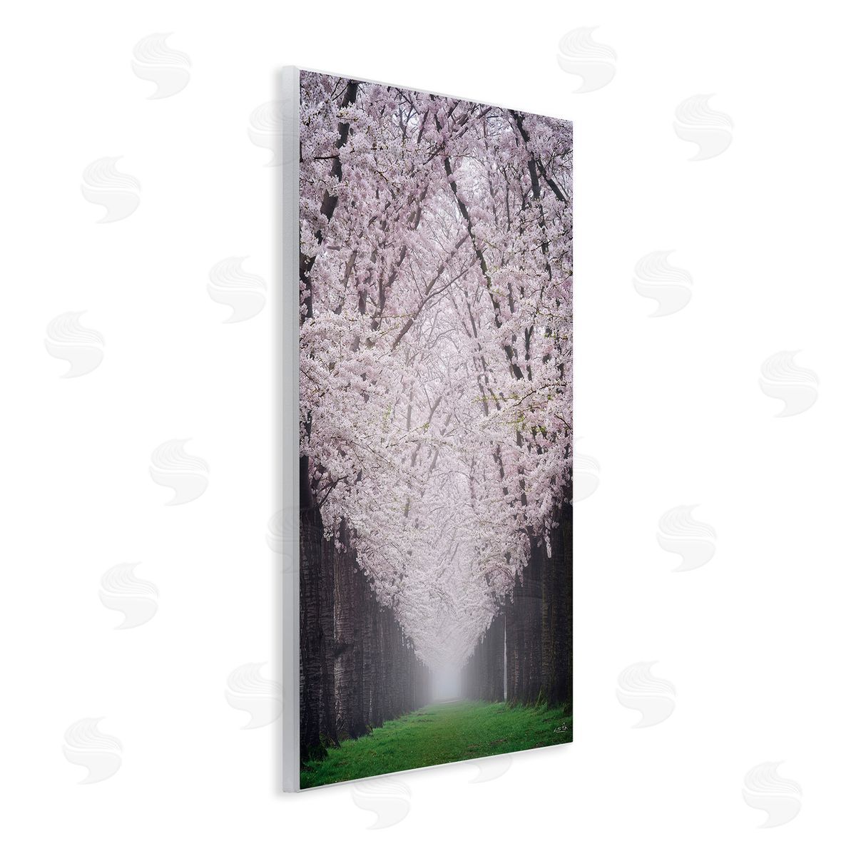 Martin Podt Cherry Blossom Grove Wooden Wall Plaque Art Print