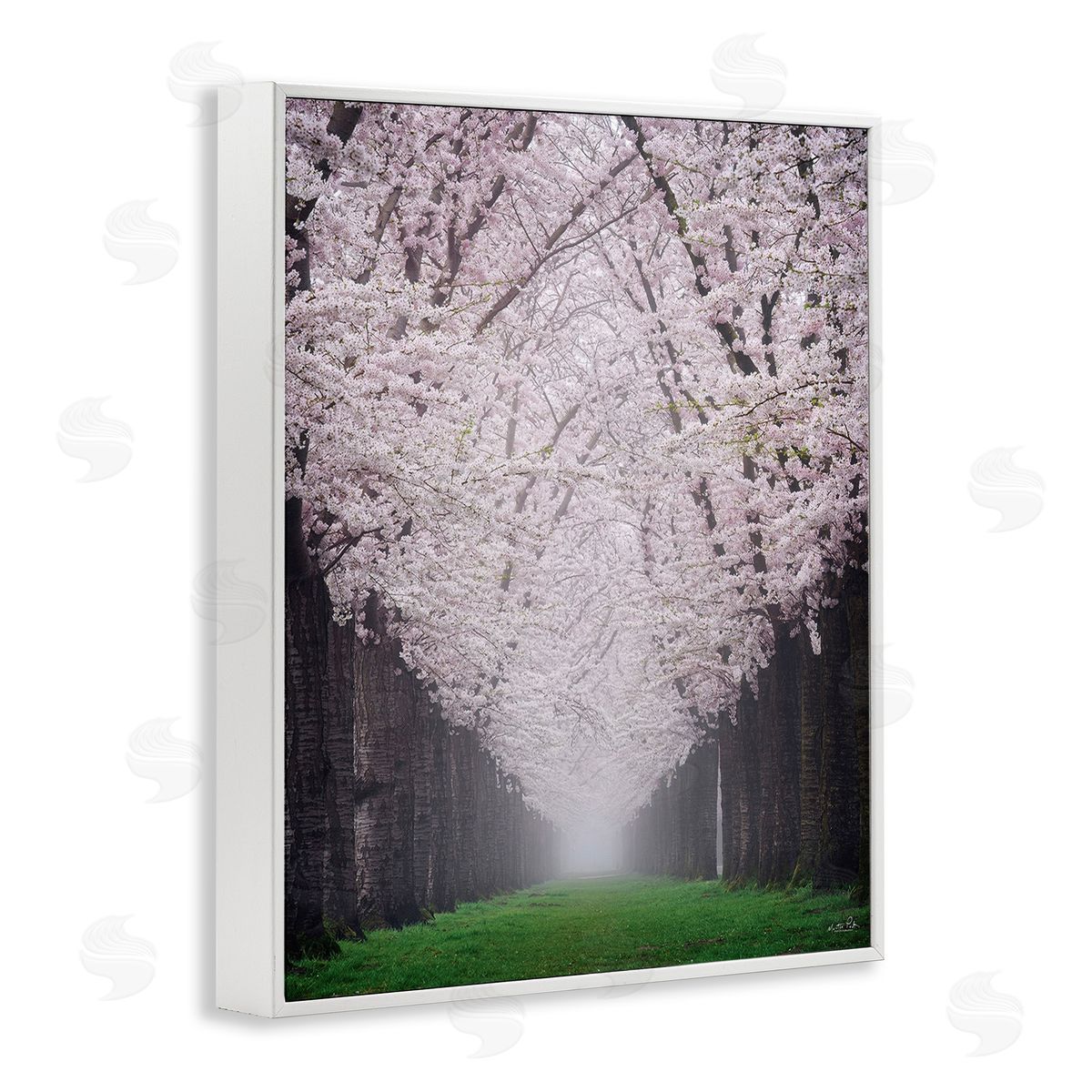 Martin Podt Cherry Blossom Grove White Framed Giclee Wall Art Print
