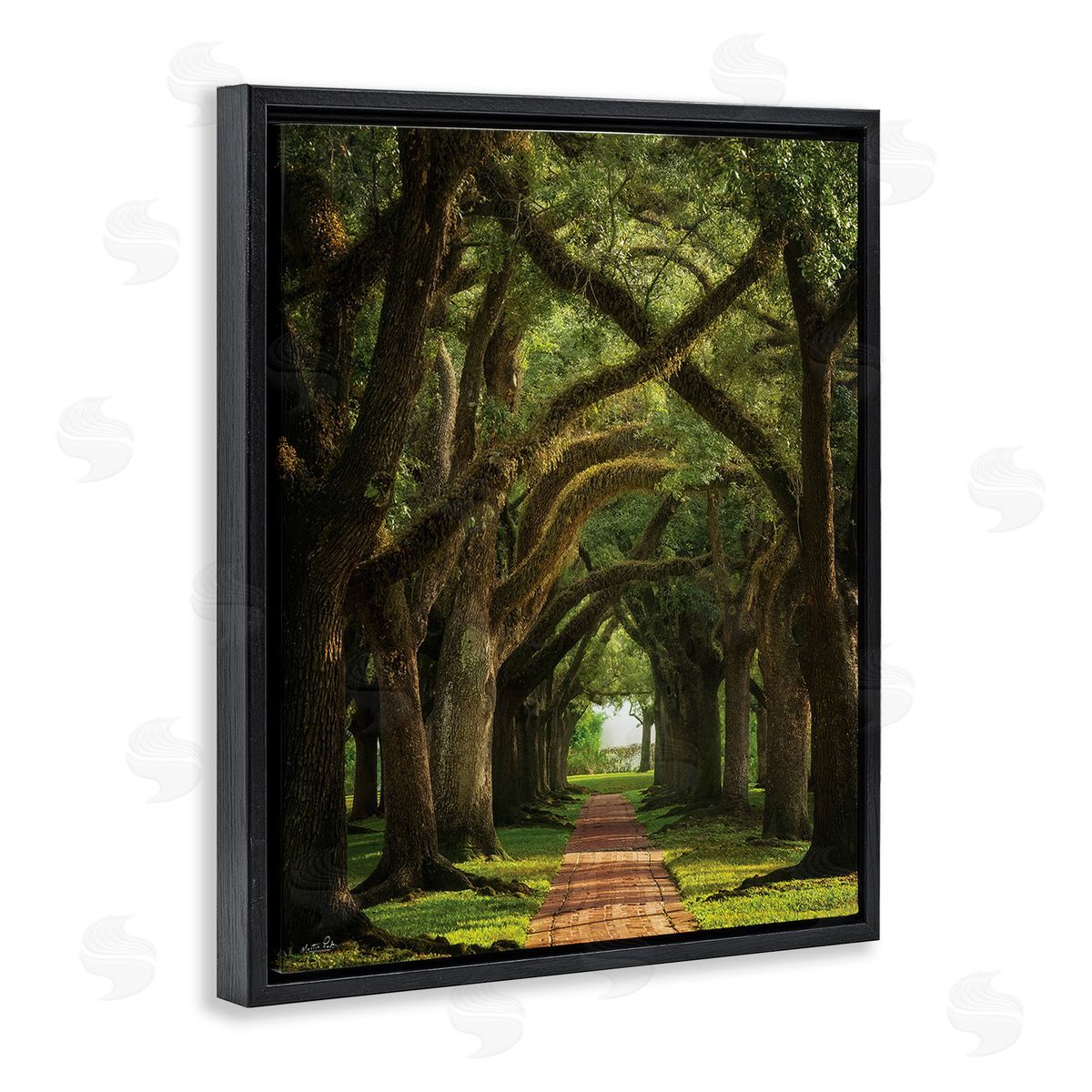 Martin Podt Shadowed Tree Grove Black Floating Frame Canvas Wall Art Print