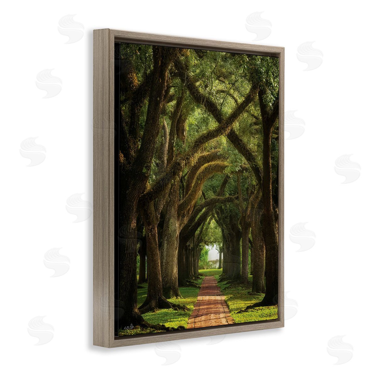 Martin Podt Shadowed Tree Grove Brown Floating Frame Canvas Wall Art Print