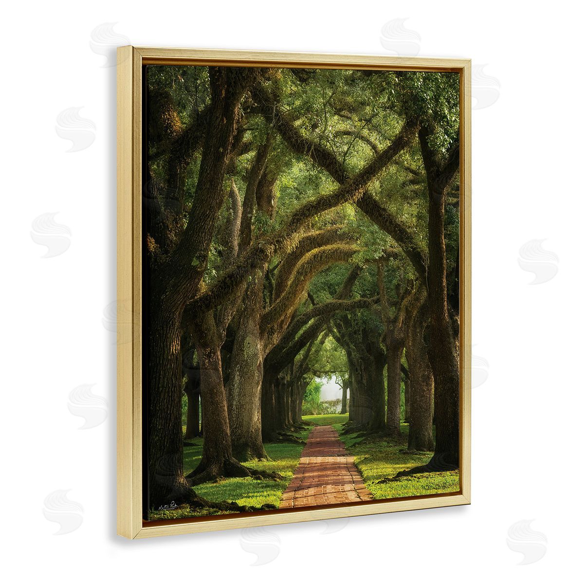 Martin Podt Shadowed Tree Grove Gold Floating Frame Canvas Wall Art Print