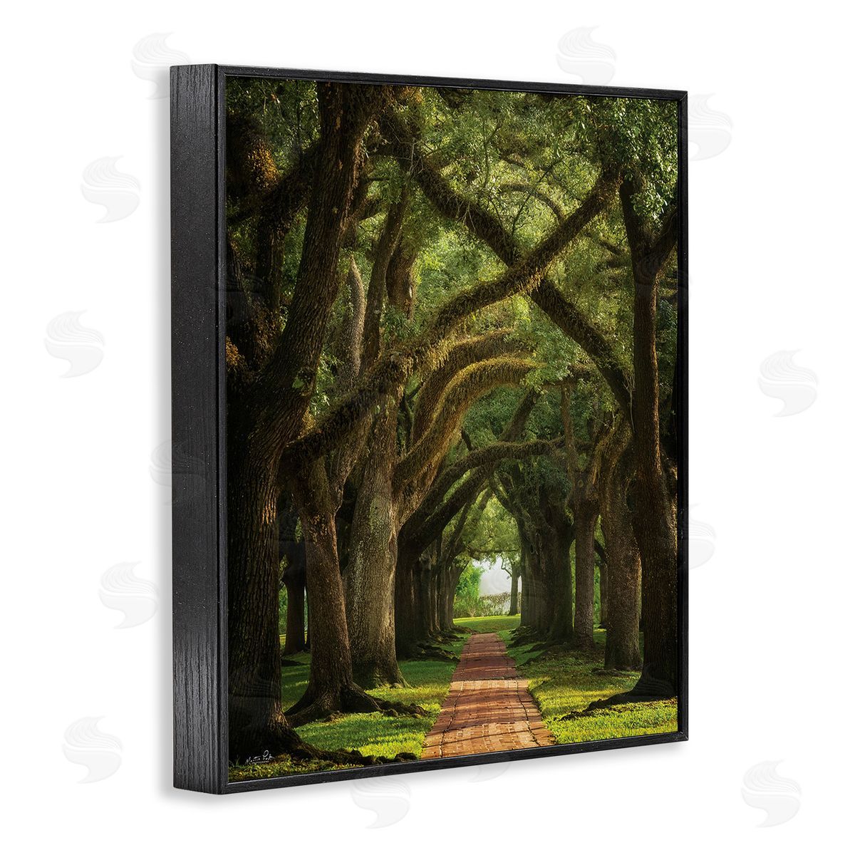 Martin Podt Shadowed Tree Grove Black Framed Giclee Wall Art Print
