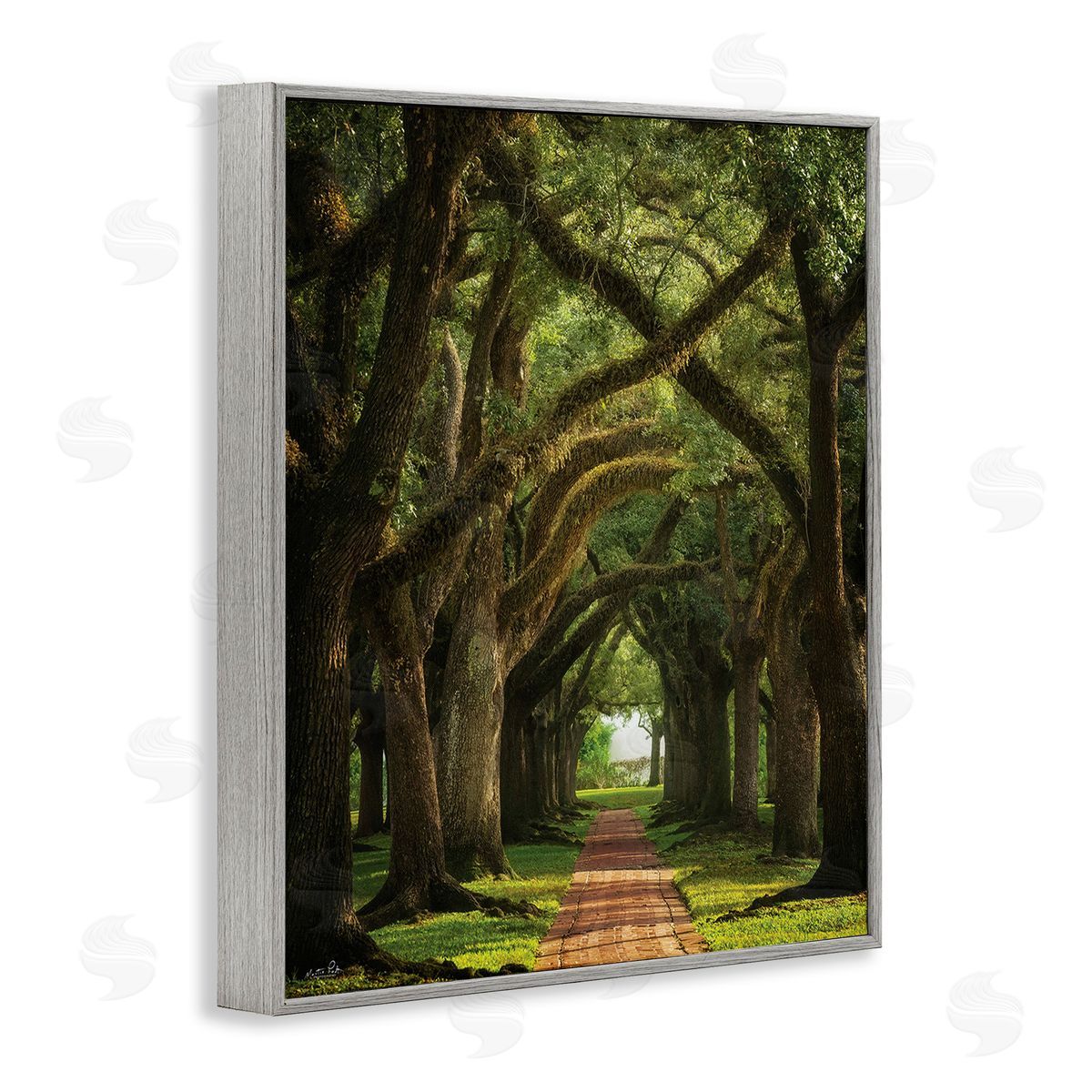Martin Podt Shadowed Tree Grove Gray Framed Giclee Wall Art Print