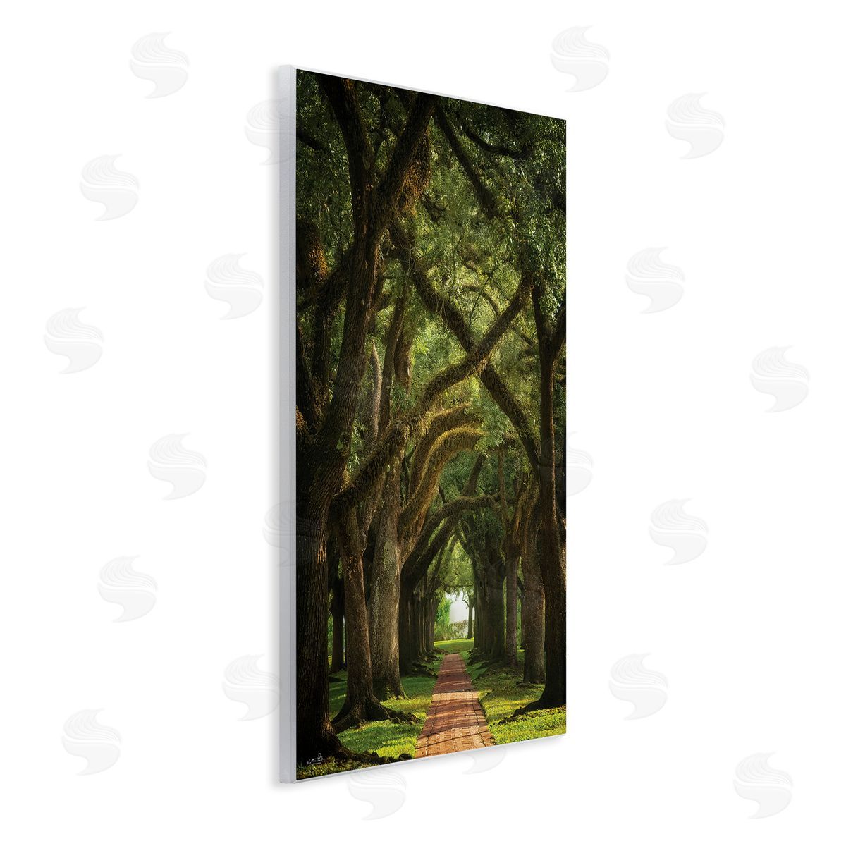 Martin Podt Shadowed Tree Grove Wooden Wall Plaque Art Print