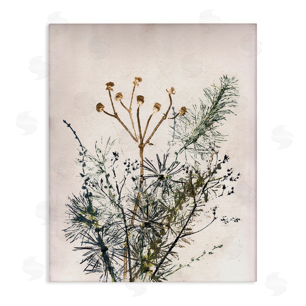Pernille Folcarelli Pine Needles Impression Canvas Wall Art Print