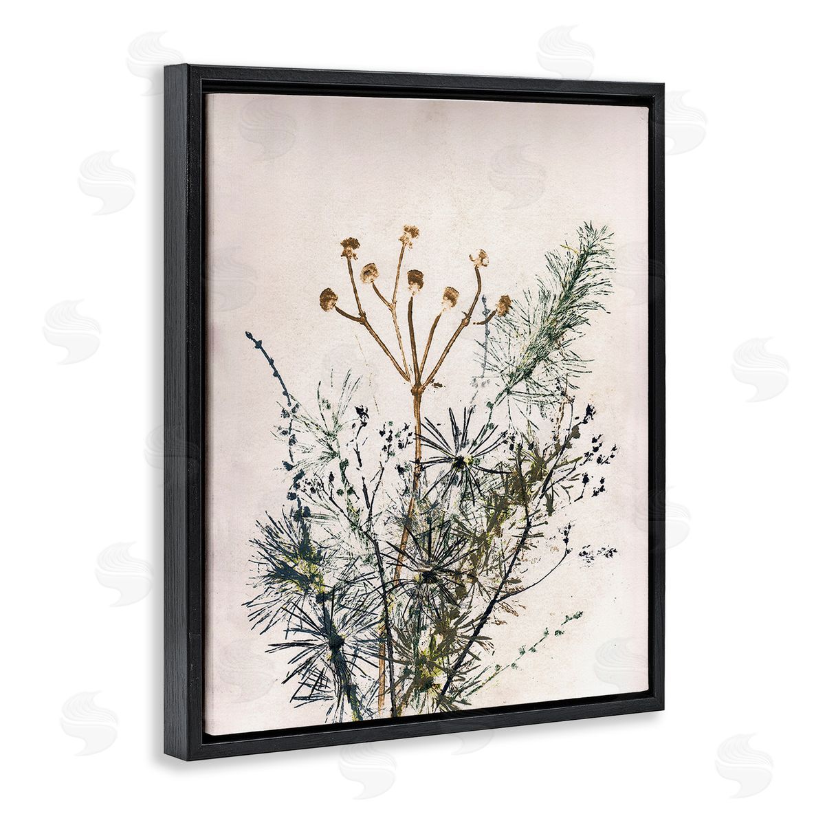 Pernille Folcarelli Pine Needles Impression Black Floating Frame Canvas Wall Art Print