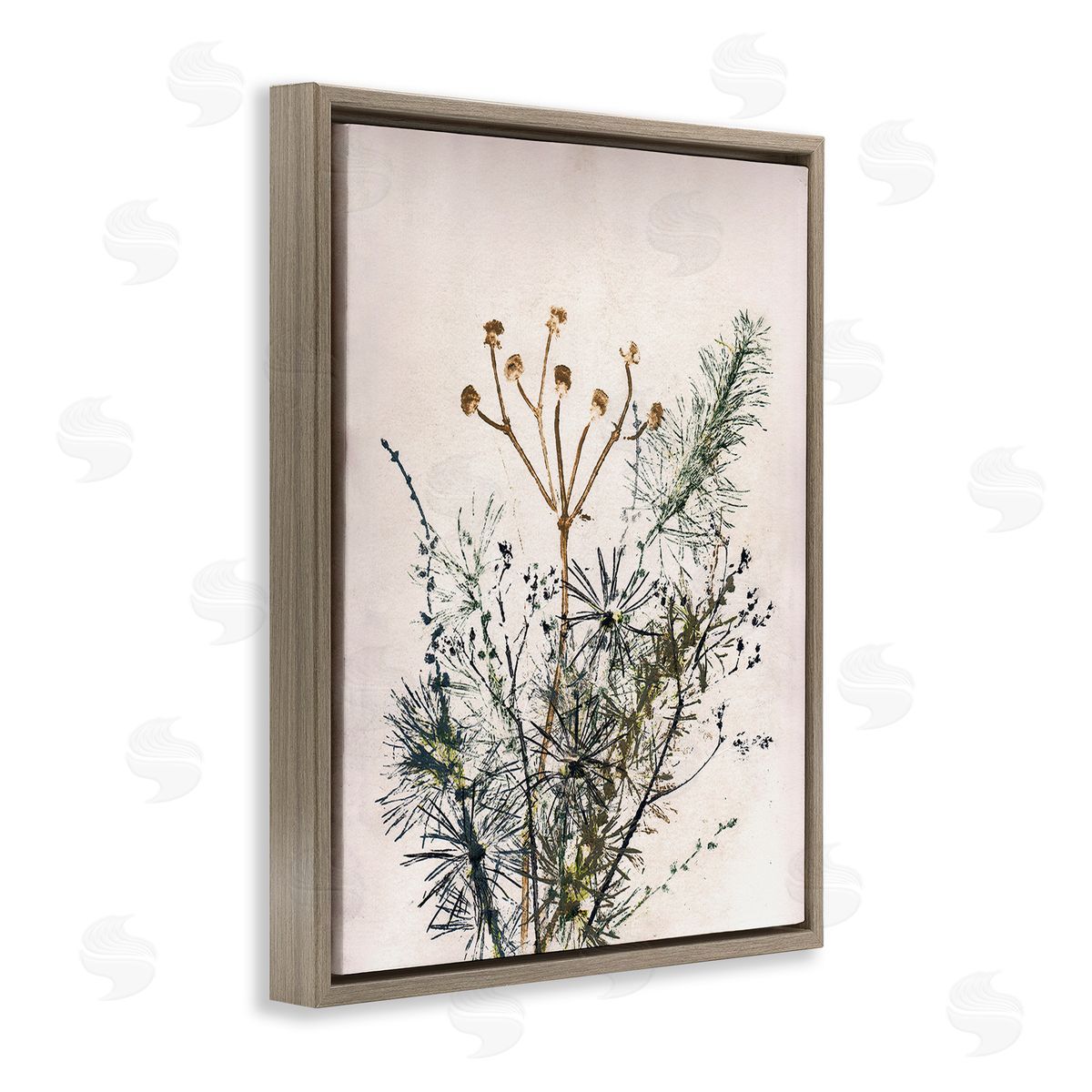 Pernille Folcarelli Pine Needles Impression Brown Floating Frame Canvas Wall Art Print