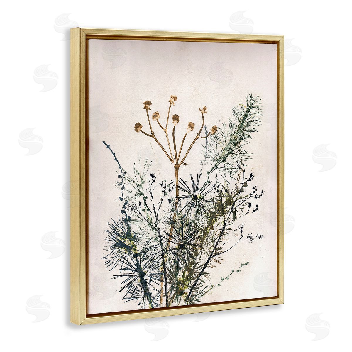 Pernille Folcarelli Pine Needles Impression Gold Floating Frame Canvas Wall Art Print
