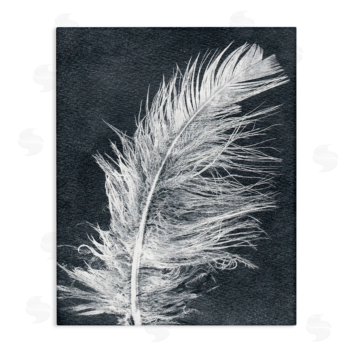 Pernille Folcarelli Blue & White Feather Canvas Wall Art Print