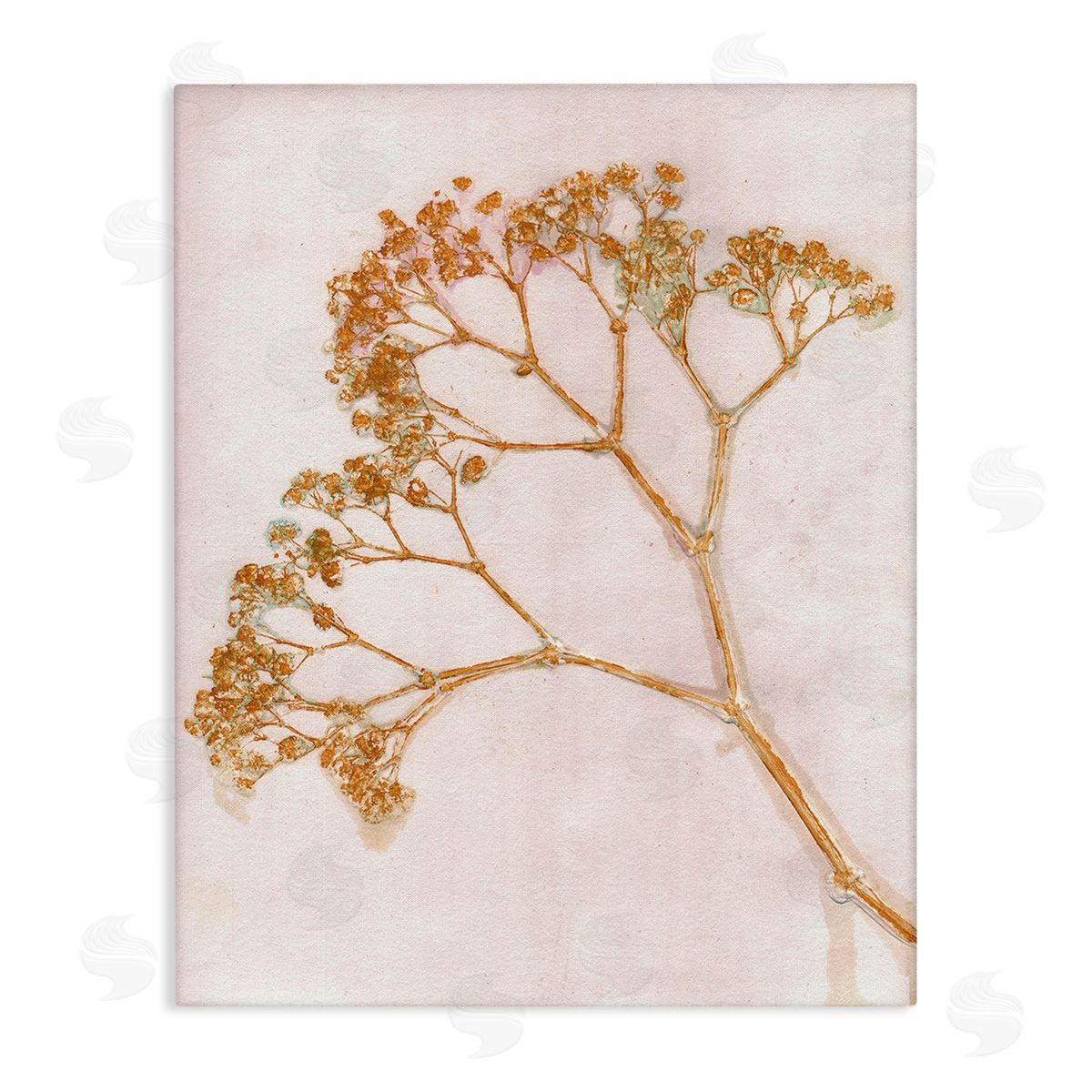Pernille Folcarelli Cottage Botanical Branches Canvas Wall Art Print