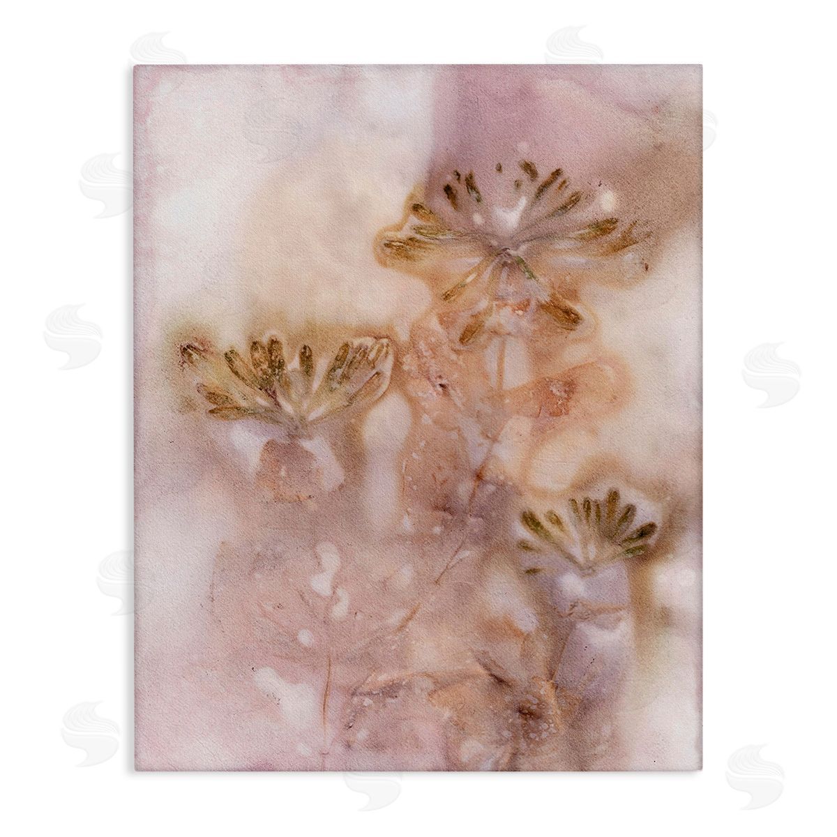 Pernille Folcarelli Abstract Botanical Seeds Canvas Wall Art Print