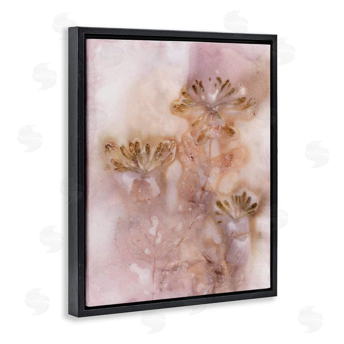 Pernille Folcarelli Abstract Botanical Seeds Black Floating Frame Canvas Wall Art Print