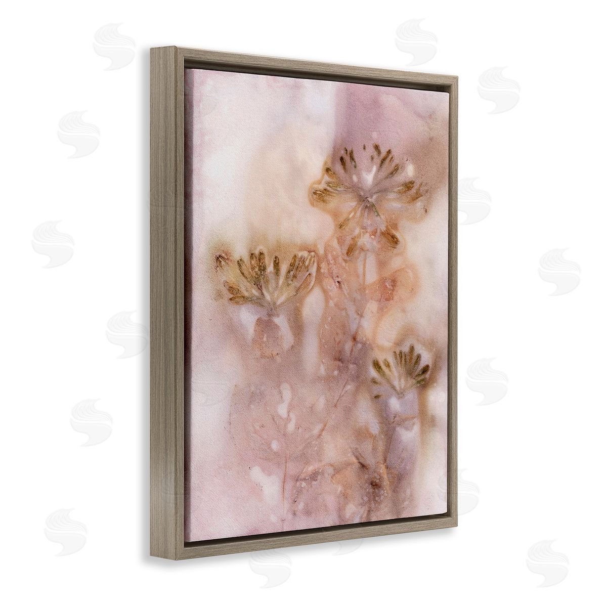 Pernille Folcarelli Abstract Botanical Seeds Brown Floating Frame Canvas Wall Art Print