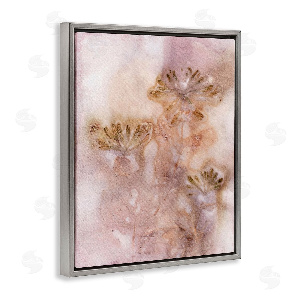 Pernille Folcarelli Abstract Botanical Seeds Gray Floating Frame Canvas Wall Art Print