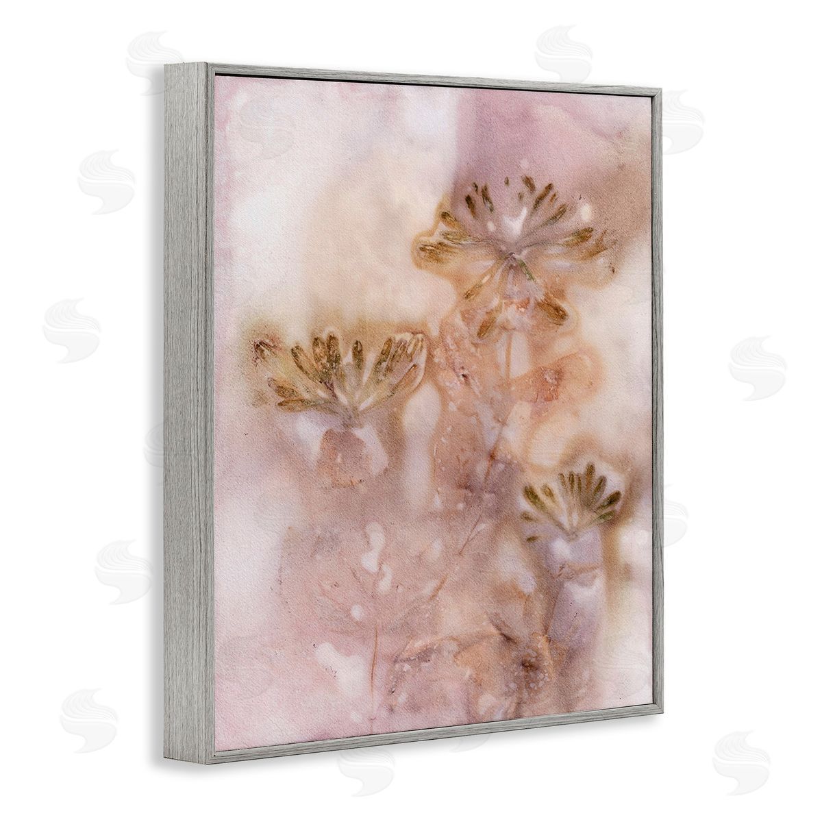Pernille Folcarelli Abstract Botanical Seeds Gray Framed Giclee Wall Art Print