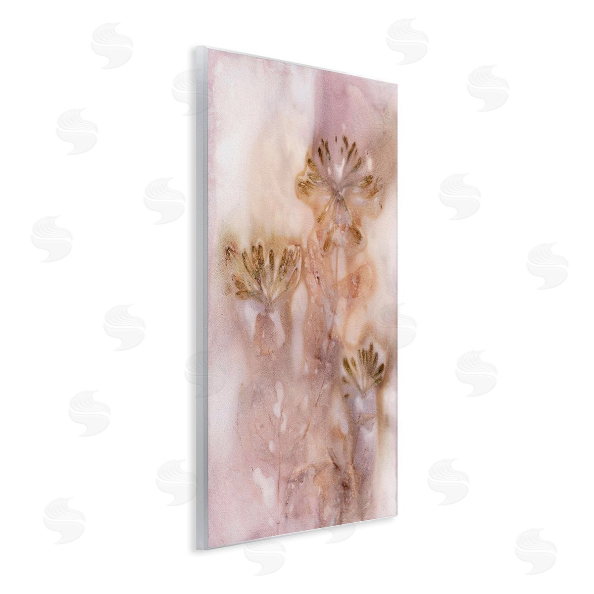 Pernille Folcarelli Abstract Botanical Seeds Wooden Wall Plaque Art Print