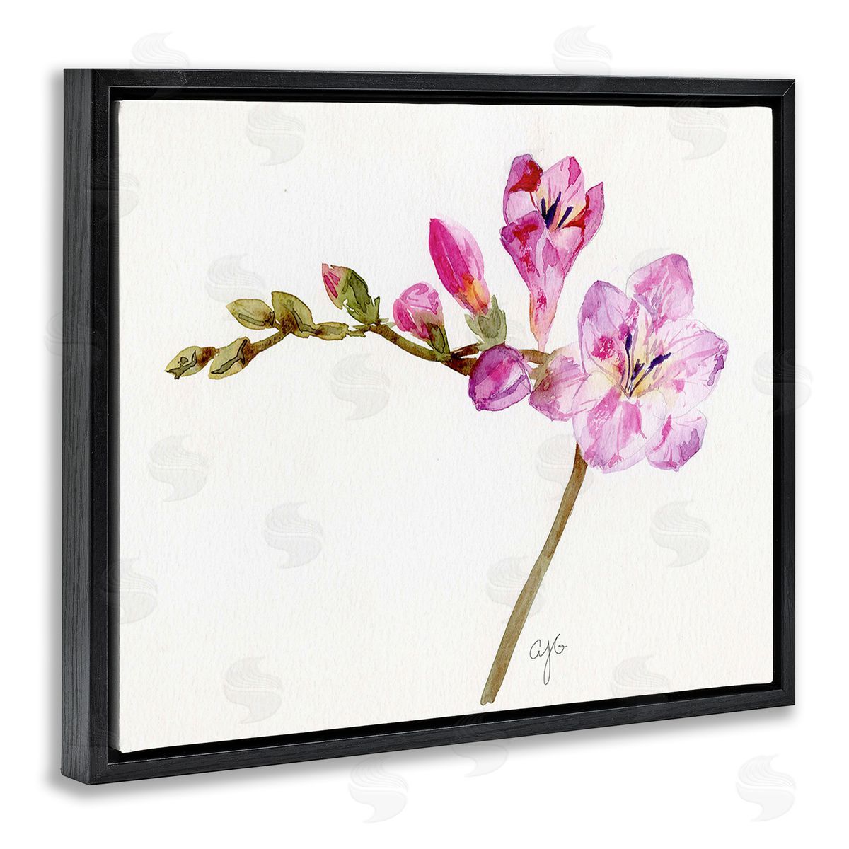 Alexandria Gilbert Kincaid Orchid Flower Sprig Black Floating Frame Canvas Wall Art Print