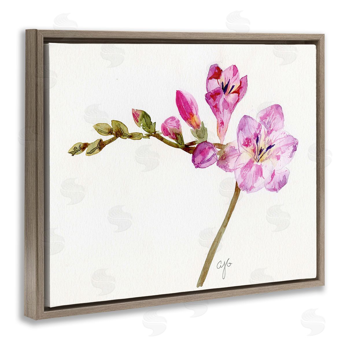Alexandria Gilbert Kincaid Orchid Flower Sprig Brown Floating Frame Canvas Wall Art Print