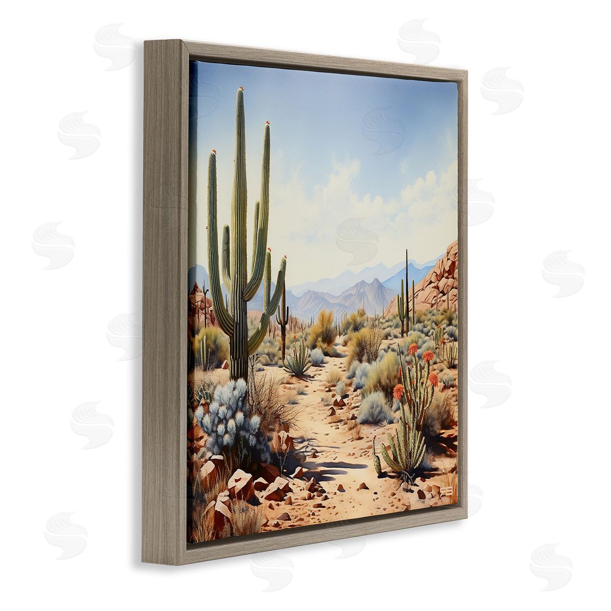 RB Desert Cactus Path Brown Floating Frame Canvas Wall Art Print