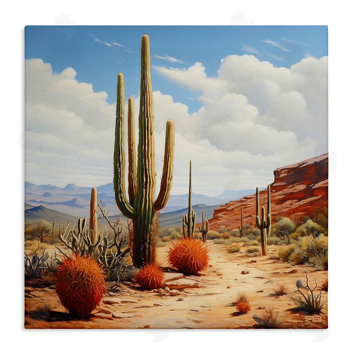 RB Cloudy Desert Path Canvas Wall Art Print