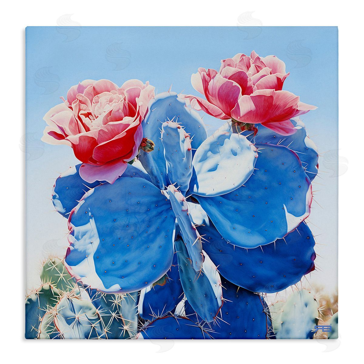 RB Twin Cactus Blossoms Canvas Wall Art Print