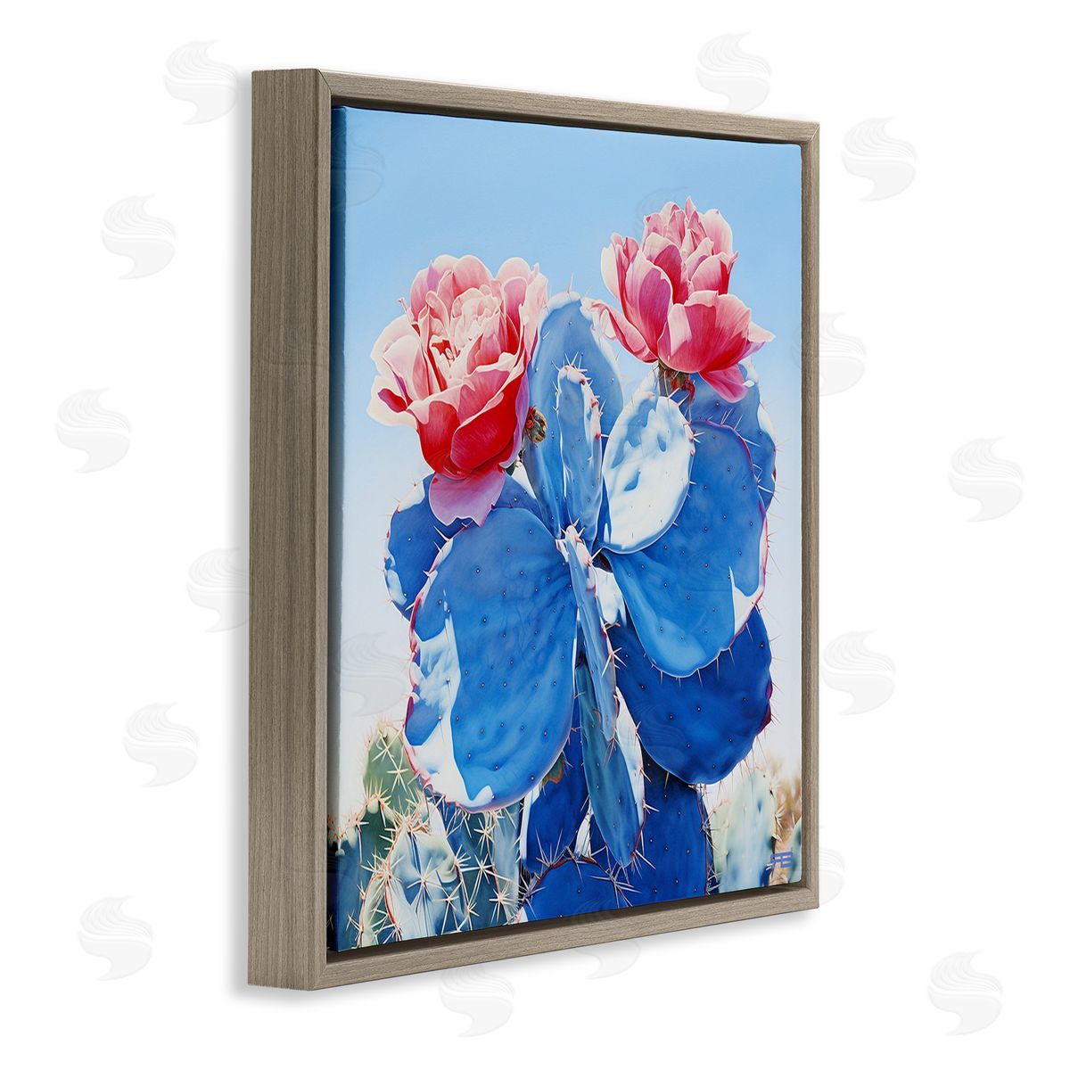 RB Twin Cactus Blossoms Brown Floating Frame Canvas Wall Art Print