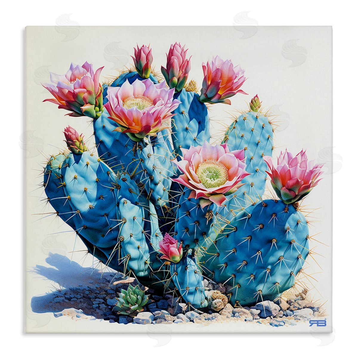 RB Prickly Cactus Blossoms Canvas Wall Art Print