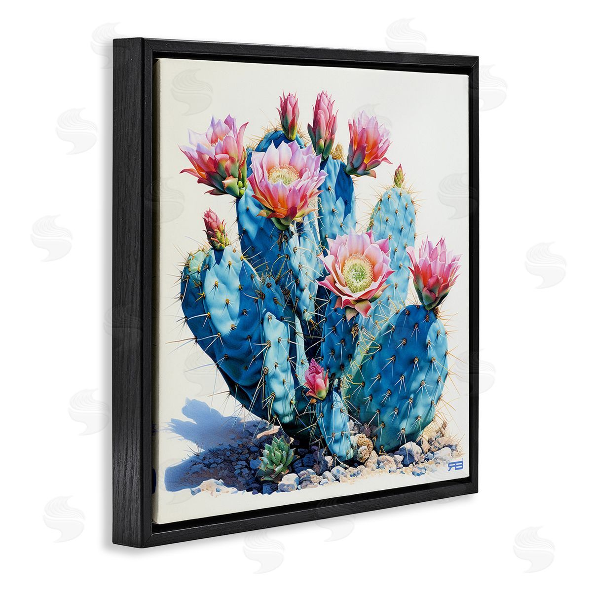 RB Prickly Cactus Blossoms Black Floating Frame Canvas Wall Art Print