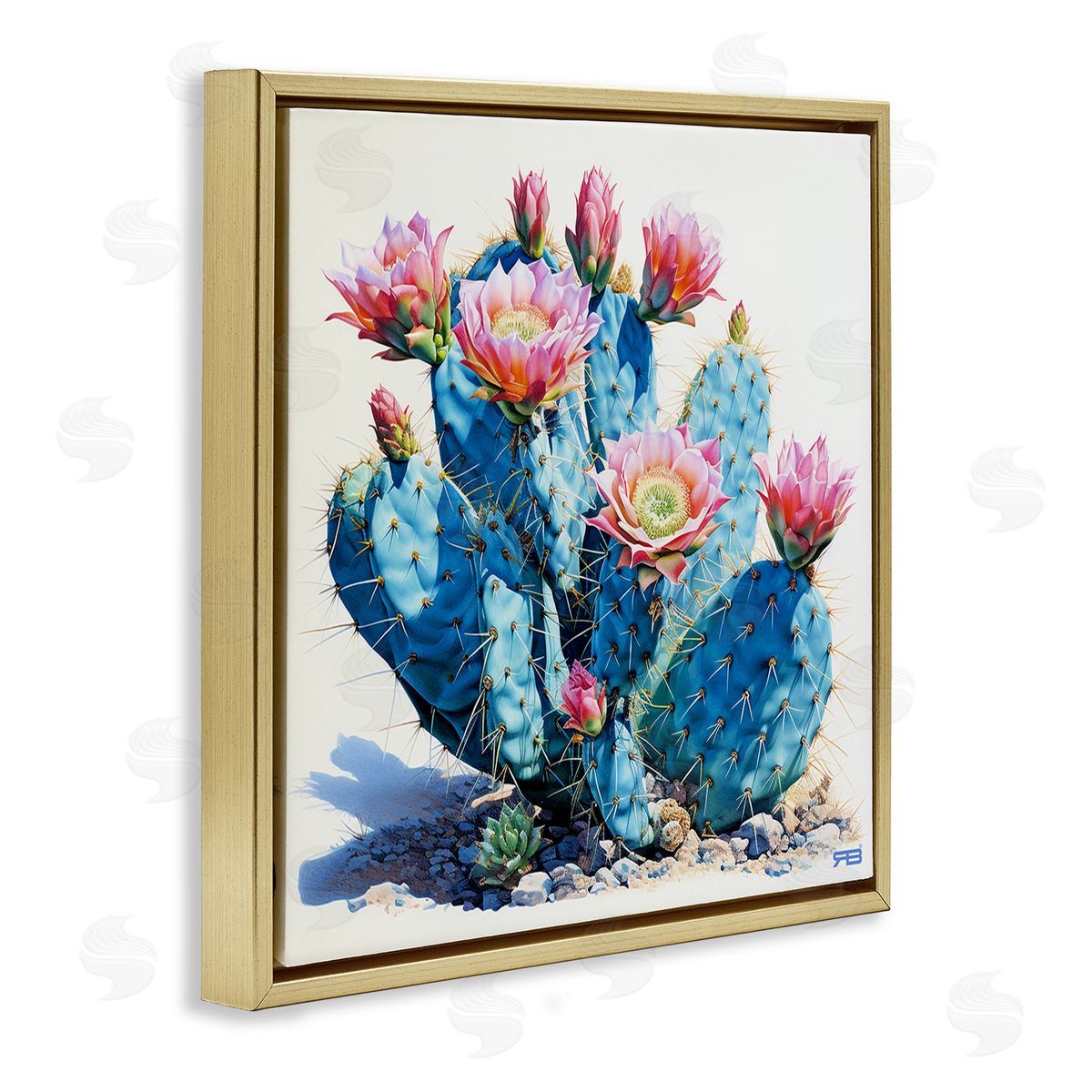 RB Prickly Cactus Blossoms Gold Floating Frame Canvas Wall Art Print