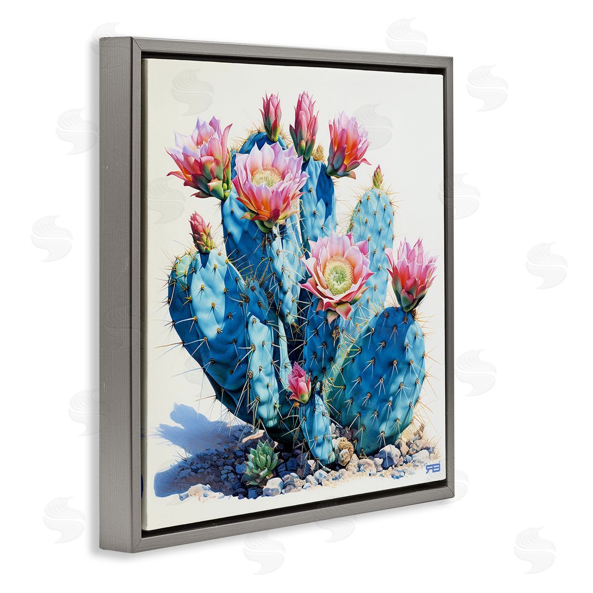 RB Prickly Cactus Blossoms Gray Floating Frame Canvas Wall Art Print