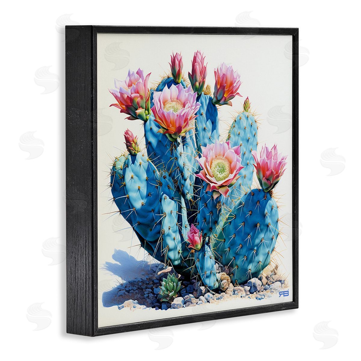 RB Prickly Cactus Blossoms Black Framed Giclee Wall Art Print
