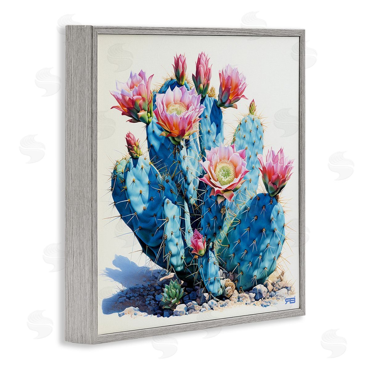 RB Prickly Cactus Blossoms Gray Framed Giclee Wall Art Print