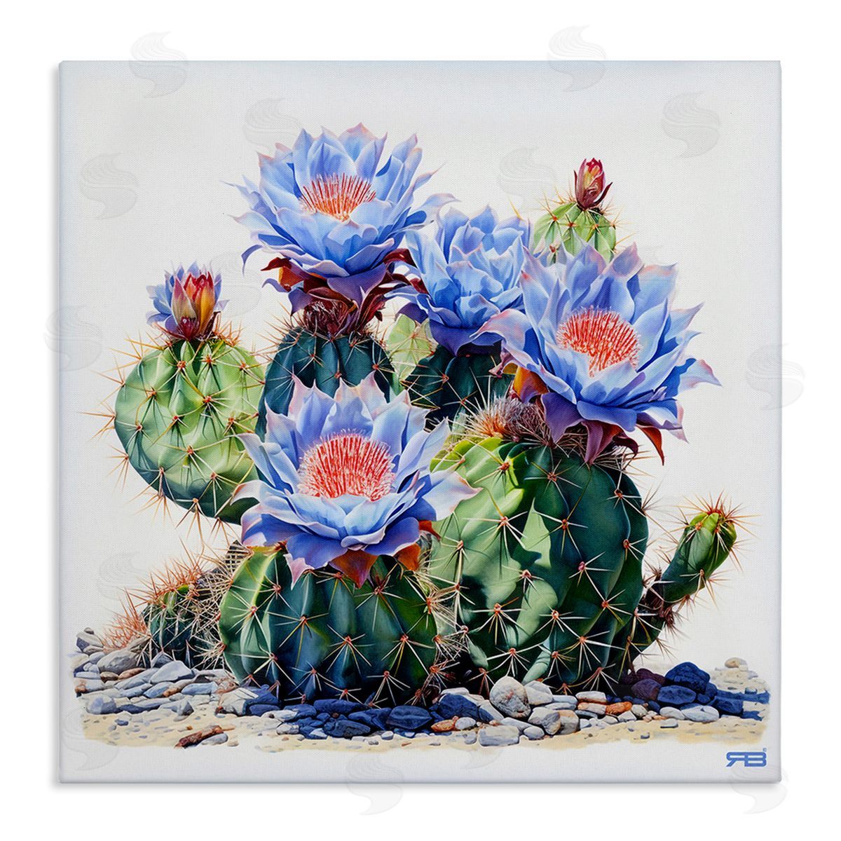 RB Blue Cactus Blossoms Canvas Wall Art Print