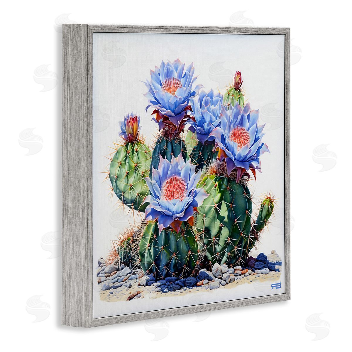 RB Blue Cactus Blossoms Gray Framed Giclee Wall Art Print