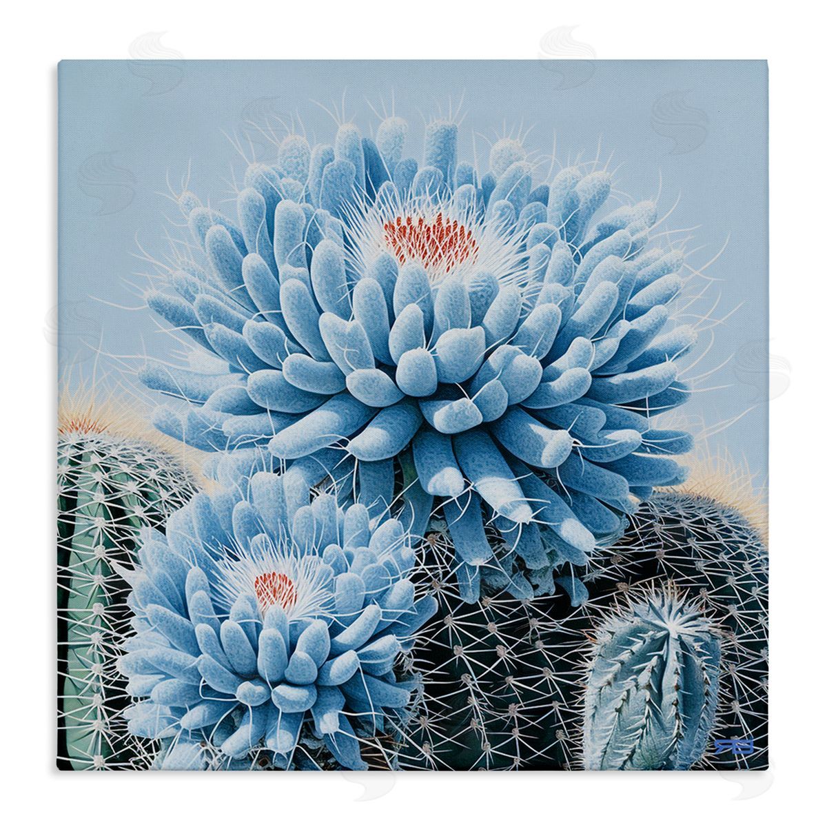RB Blue Cactus Botanicals Canvas Wall Art Print