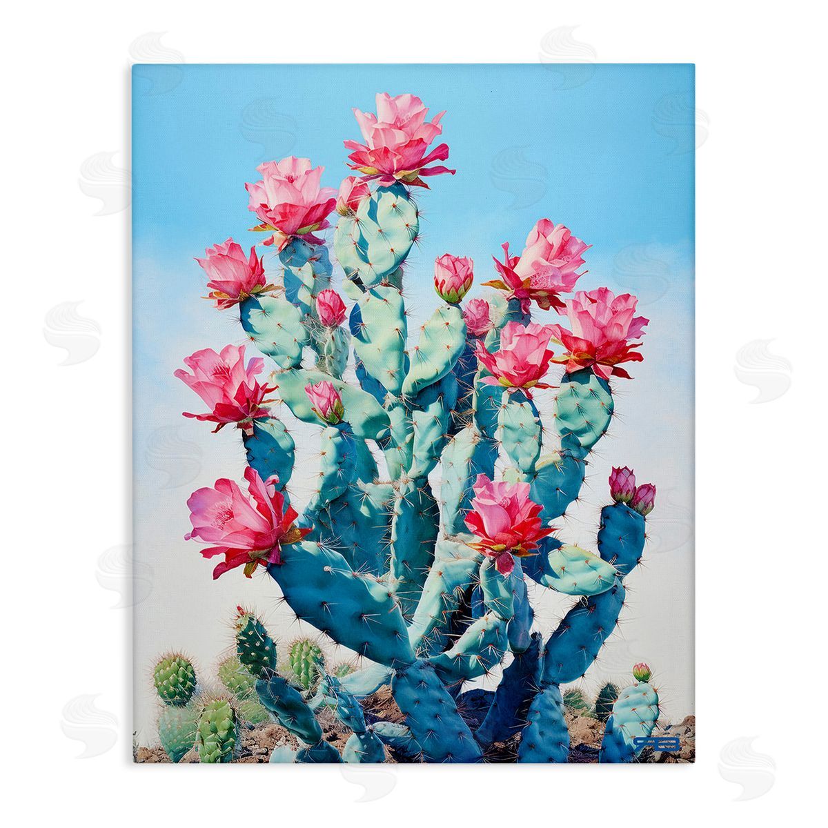 RB Southwestern Cactus Flowers Canvas Wall Art Print