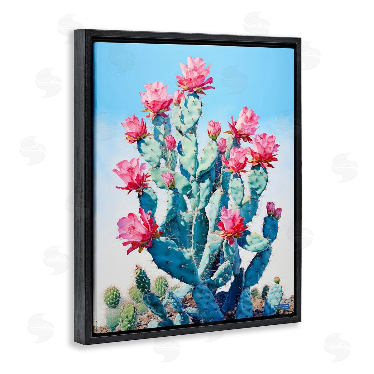 RB Southwestern Cactus Flowers Black Floating Frame Canvas Wall Art Print