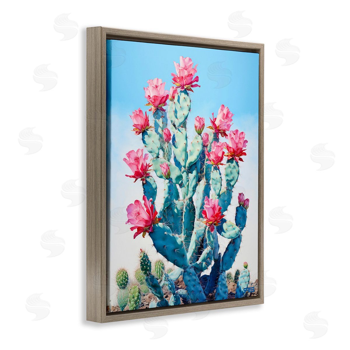 RB Southwestern Cactus Flowers Brown Floating Frame Canvas Wall Art Print