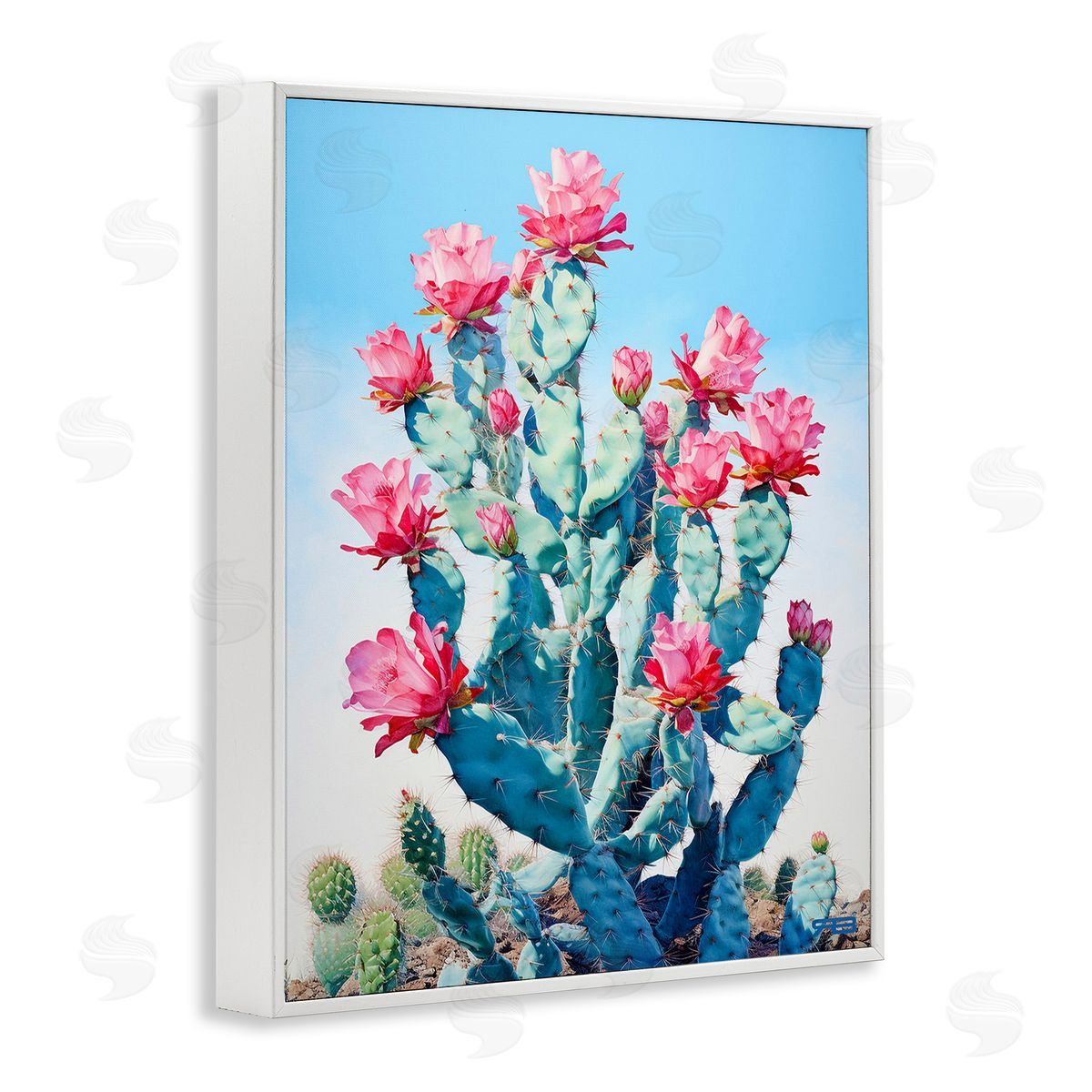 RB Southwestern Cactus Flowers White Framed Giclee Wall Art Print