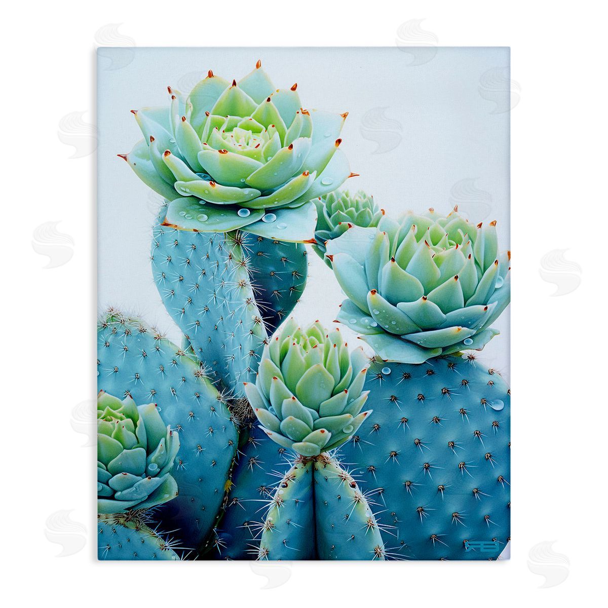 RB Cactus with Succulent Blooms Canvas Wall Art Print