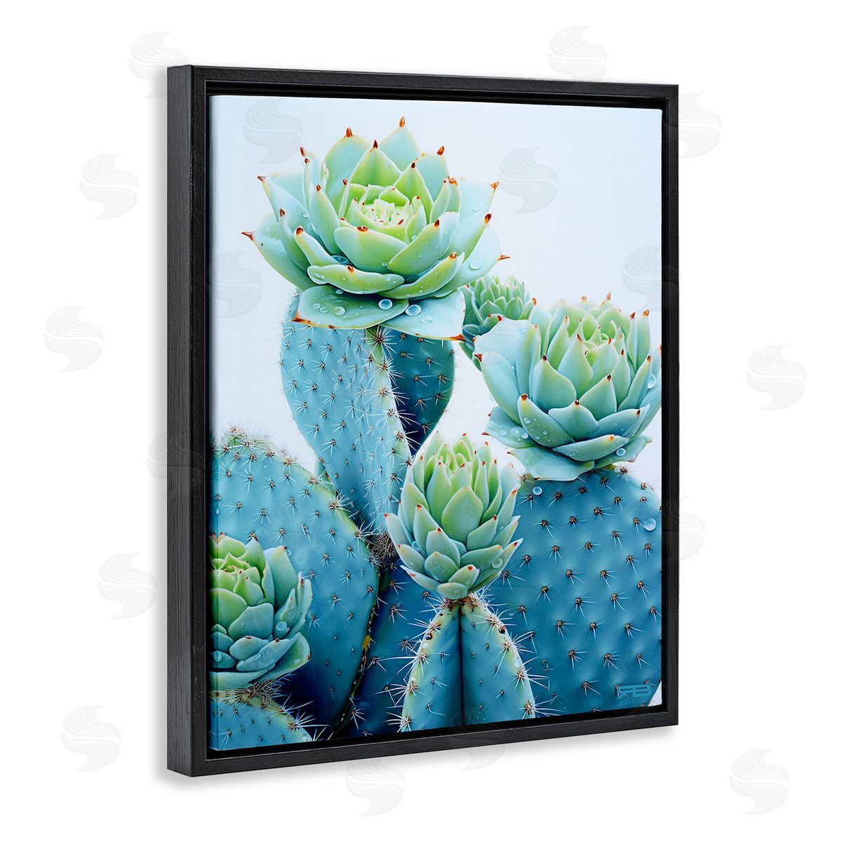 RB Cactus with Succulent Blooms Black Floating Frame Canvas Wall Art Print