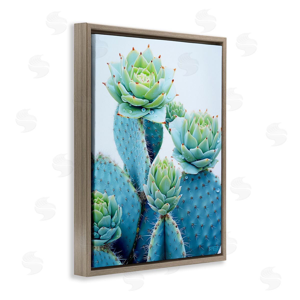RB Cactus with Succulent Blooms Brown Floating Frame Canvas Wall Art Print