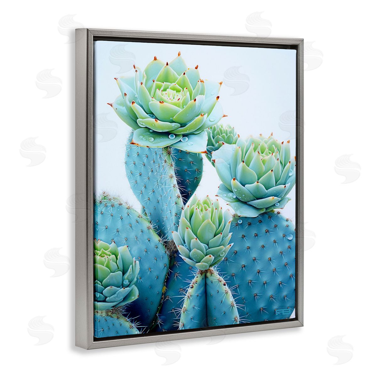 RB Cactus with Succulent Blooms Gray Floating Frame Canvas Wall Art Print