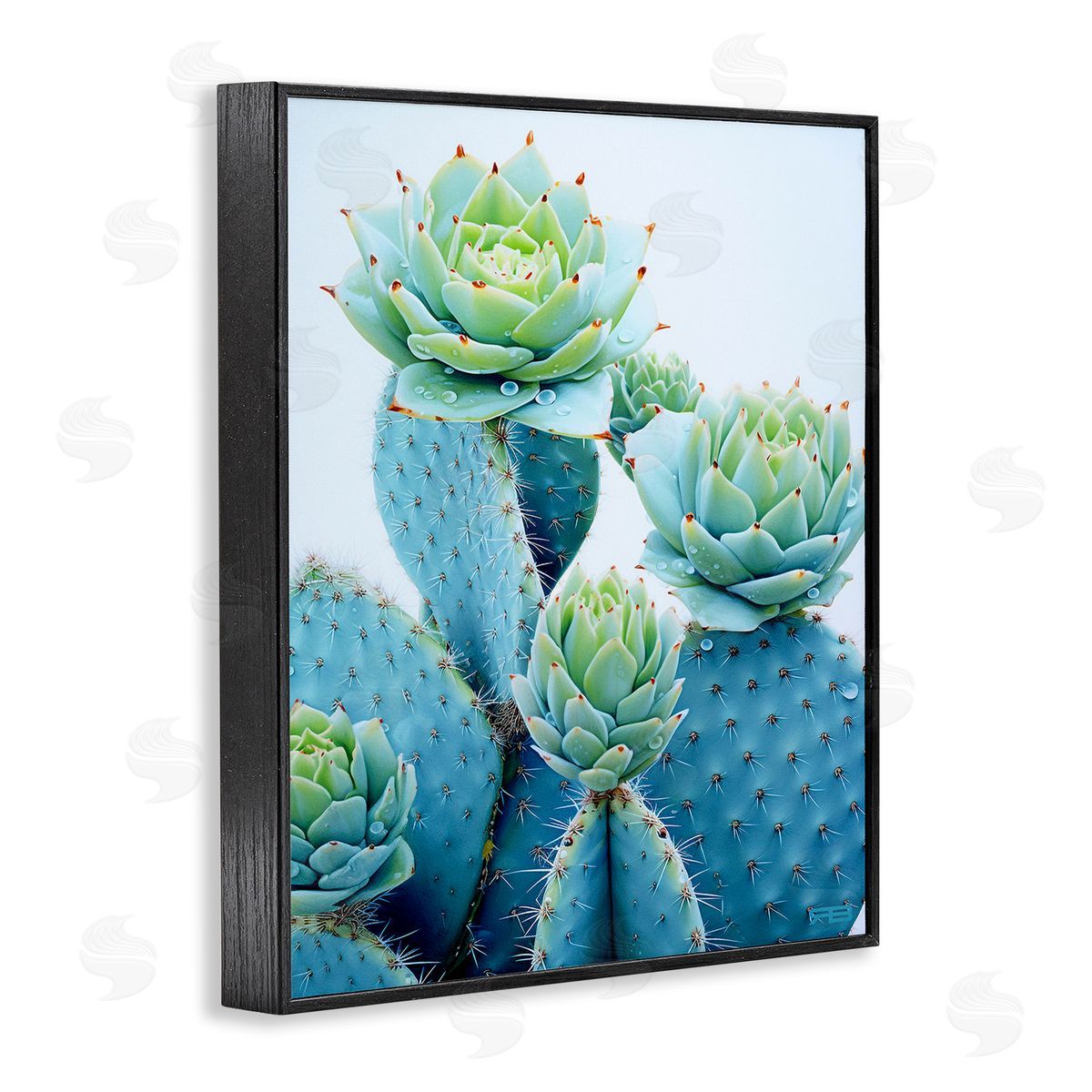 RB Cactus with Succulent Blooms Black Framed Giclee Wall Art Print