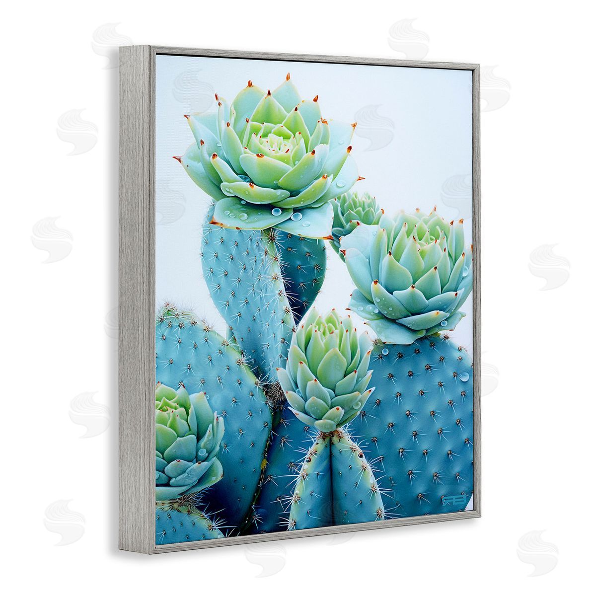 RB Cactus with Succulent Blooms Gray Framed Giclee Wall Art Print