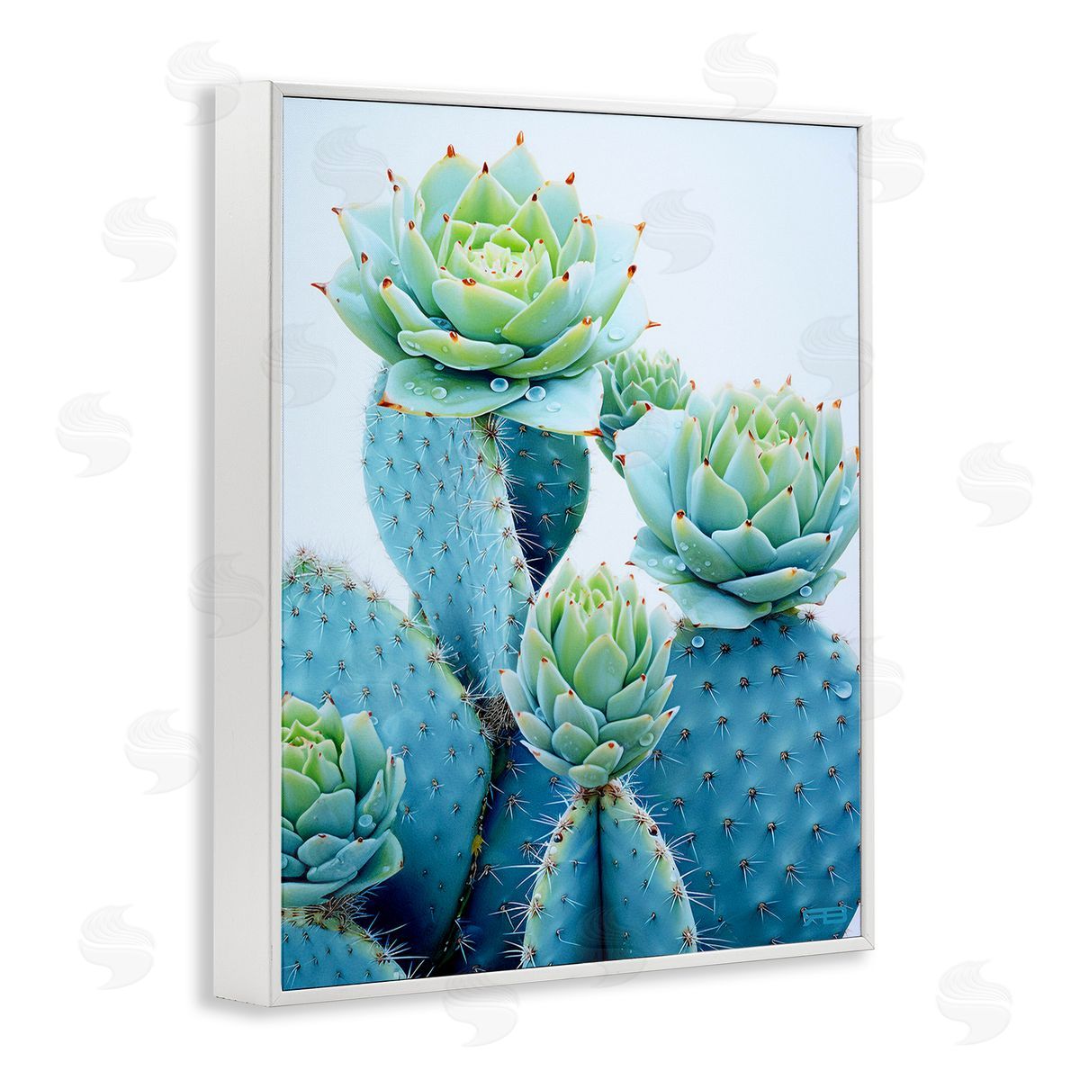 RB Cactus with Succulent Blooms White Framed Giclee Wall Art Print