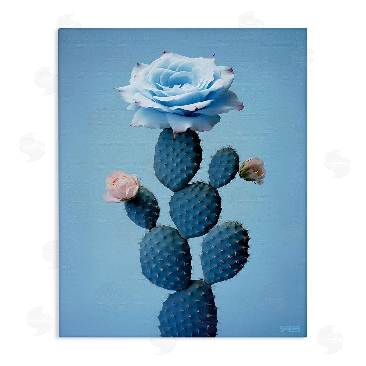 RB Blue Rose & Cactus Canvas Wall Art Print