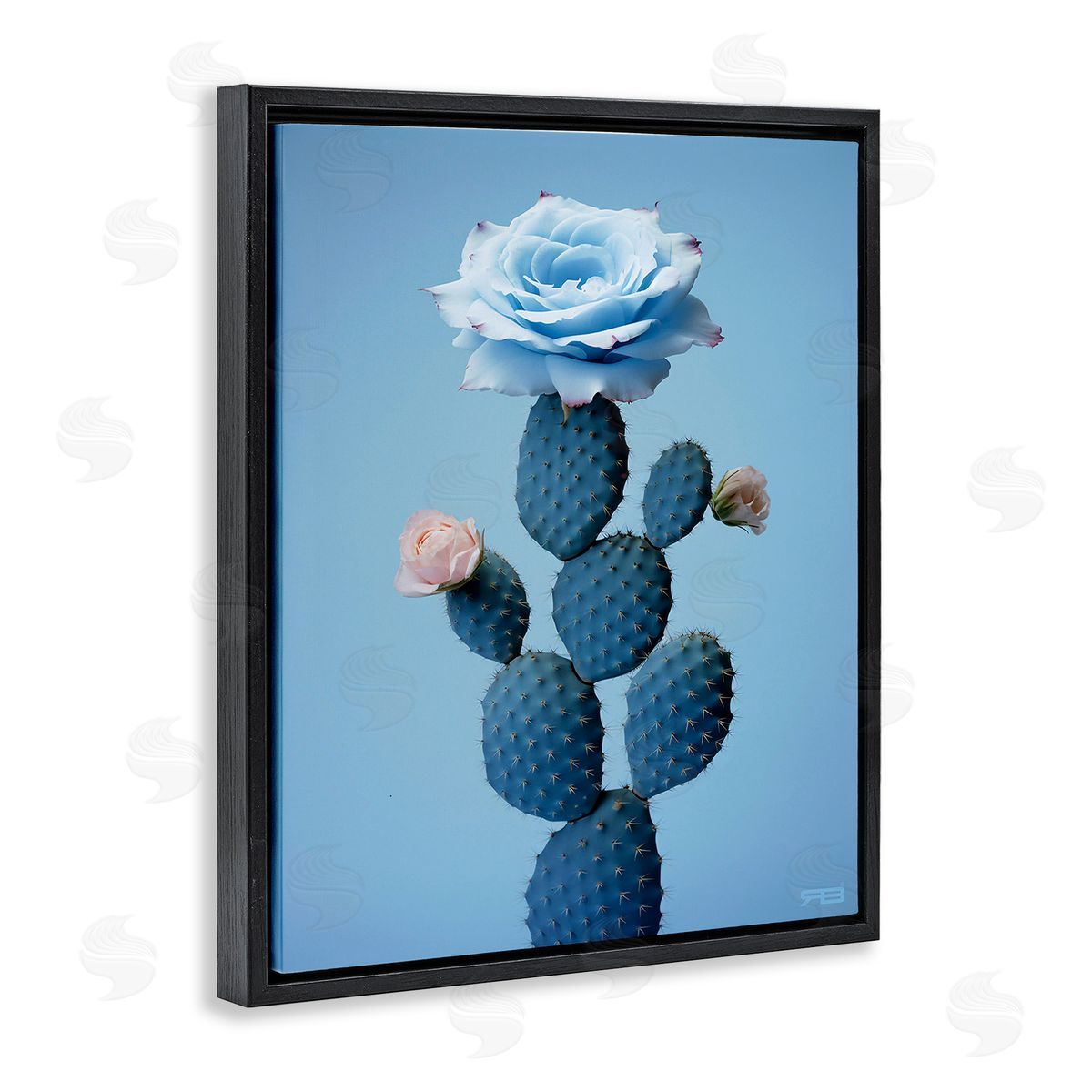 RB Blue Rose & Cactus Black Floating Frame Canvas Wall Art Print