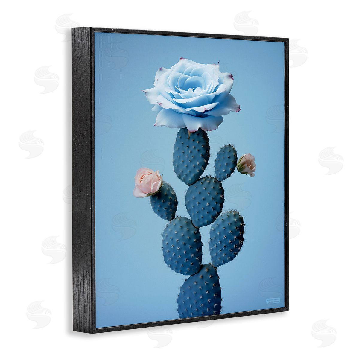 RB Blue Rose & Cactus Black Framed Giclee Wall Art Print